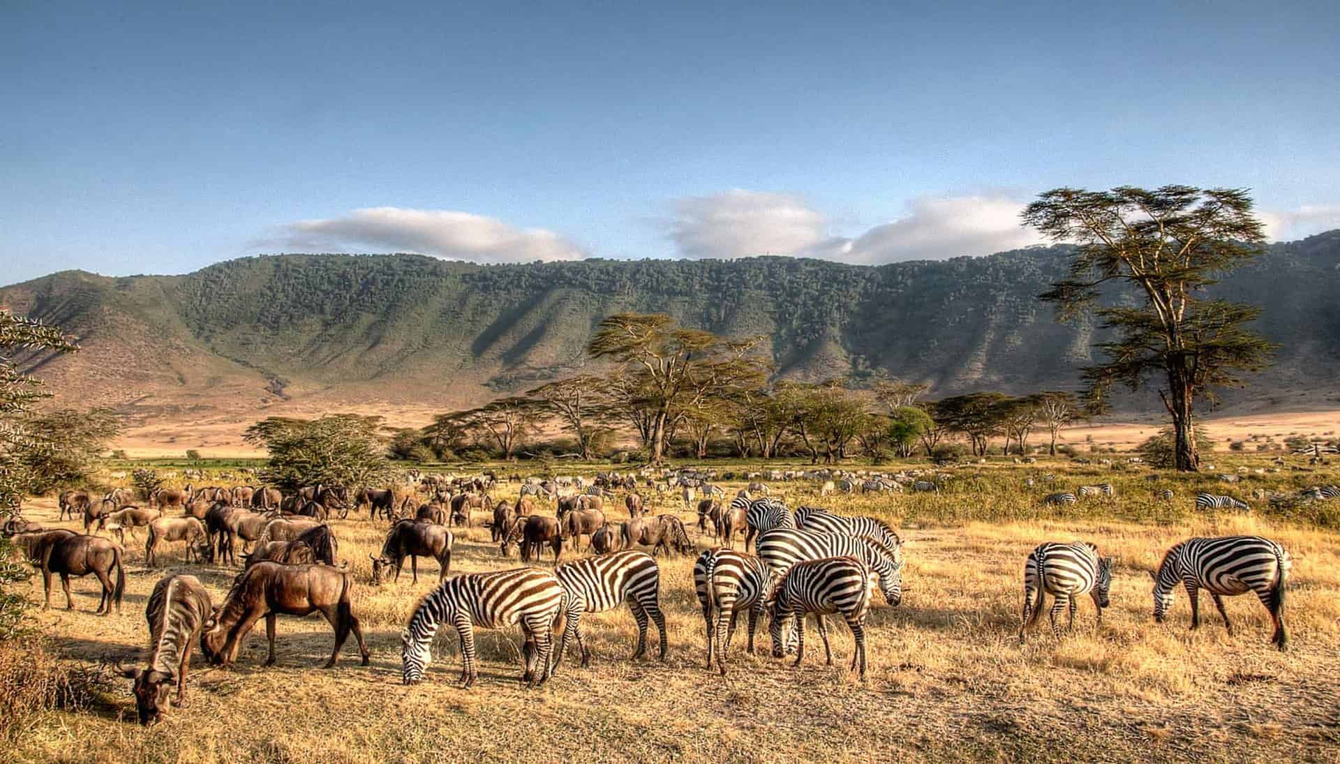 Visa Tanzania online | Visto elettronico ufficiale per la Tanzania | Domanda di visto online per la Tanzania | Visto elettronico ufficiale per la Tanzania | Richiedi il visto per la Tanzania online | Visto di Zanzibar online | Visto online per la Tanzania | Domanda di visto di Zanzibar